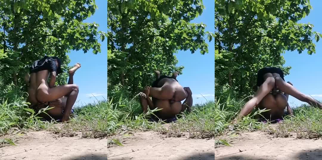 တောထဲက မြန်မာကျားနှစ်ကောင်